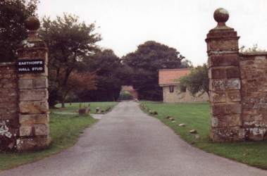 Entrance to Easthorpe Hall Stud. Click for a larger image